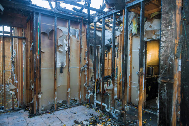Professional Smoke Damage Removal technician working in Gilbert, AZ